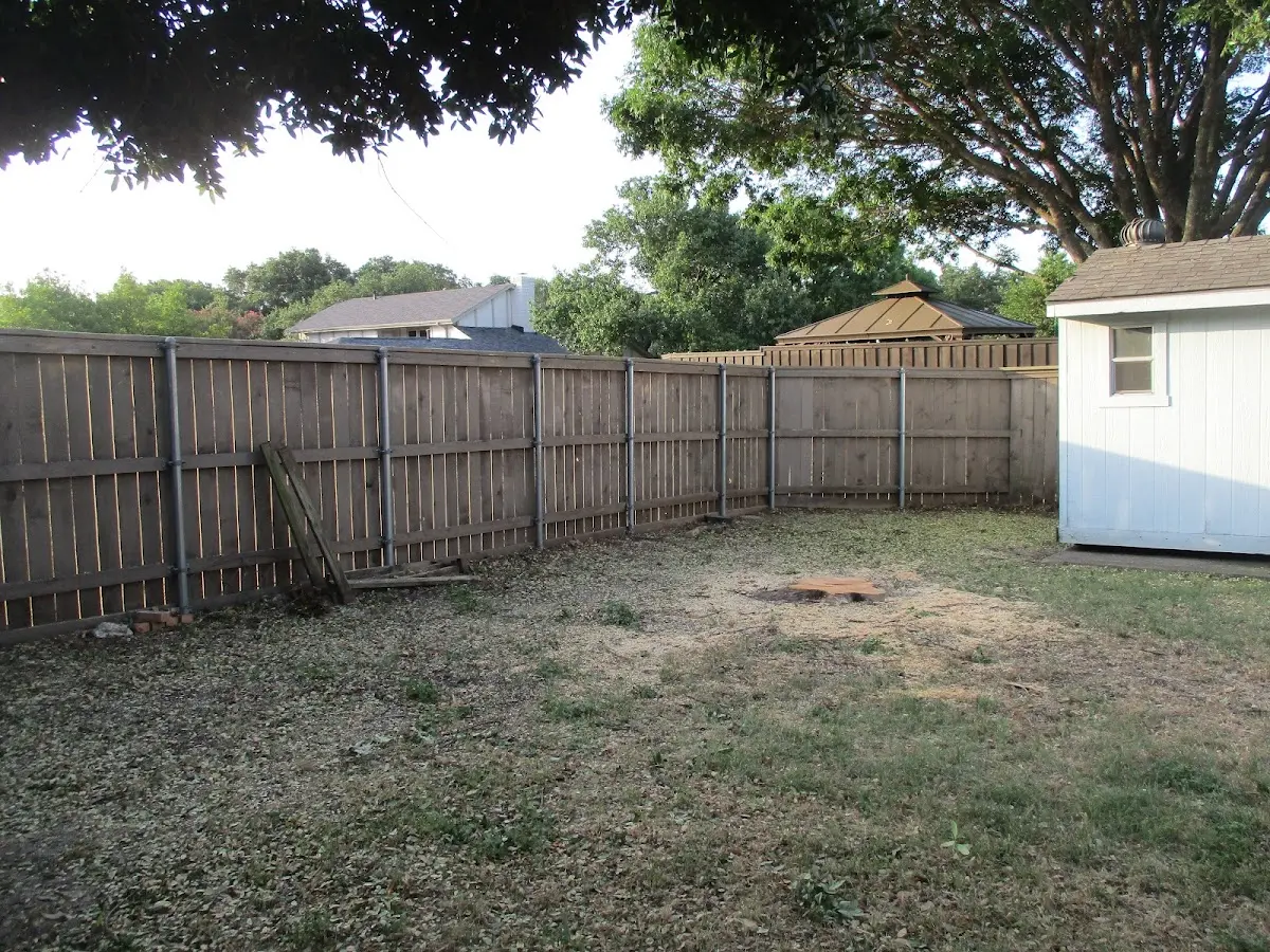 Cleared yard after professional tree removal in Pacific City